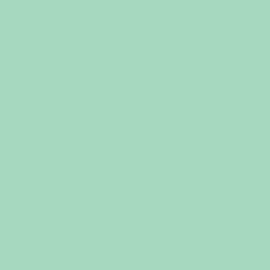 Solid Mint Swatch - New Arrivals Inc